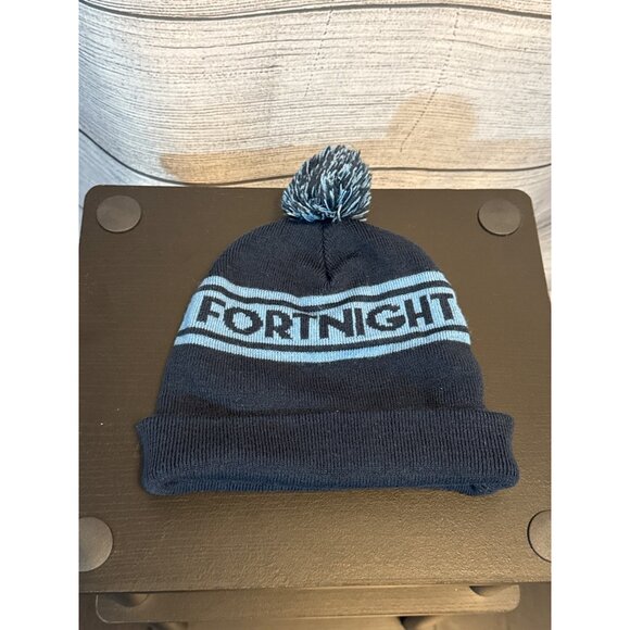 Fortnite Blue & Black Pom Pom Beanie Hat - Picture 2 of 4